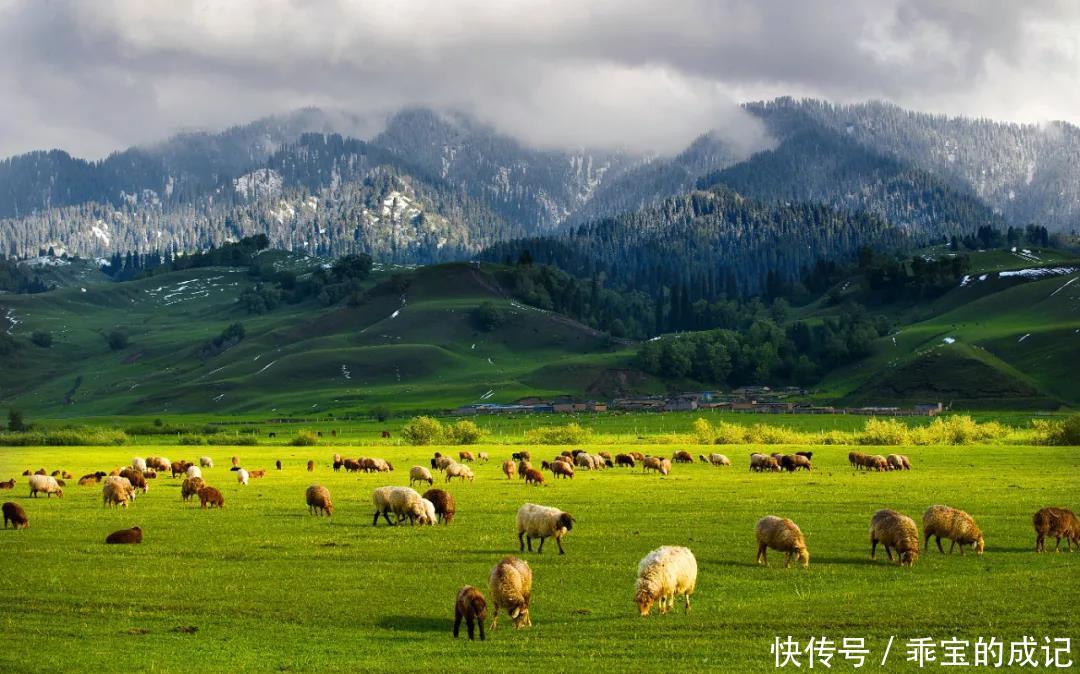 巴音布鲁克|横跨崇山峻岭，穿越深山峡谷，独库公路“纵贯天山的景观大道”