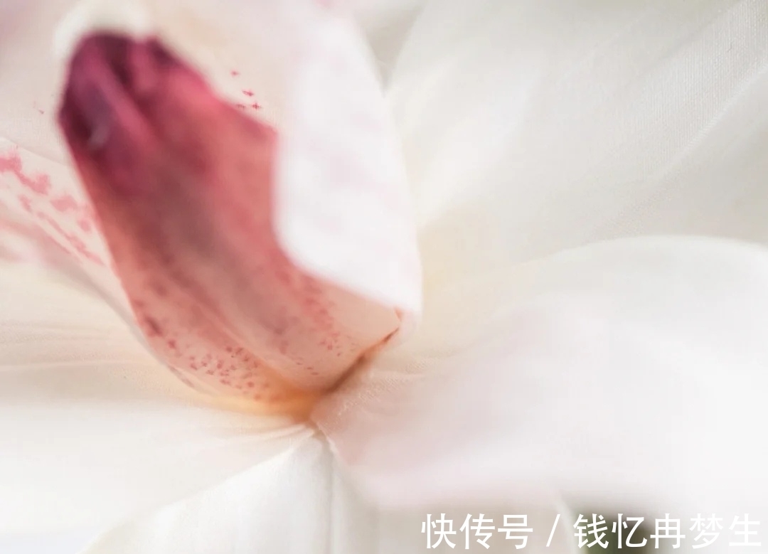 曾国藩&《道德经》有格局的人,守其雌,守其黑,守其辱,反而,有大作为