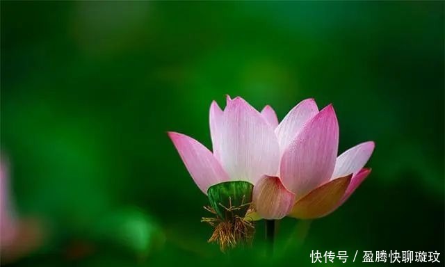 生活|大彻大悟的佛家禅语,人生哲理!