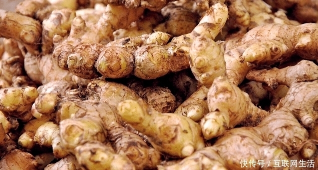 密封|生姜怎么保存才好?记住这几招,姜可以放一年!