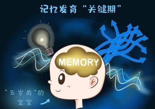 大脑|孩子5岁前坚持做这“三件事”,不仅能提高记忆力,智商也会更高