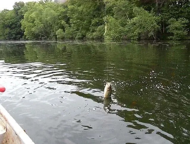 冬钓鲫鱼不上口怎么办?这“3条”缺一不可,少一条空军!