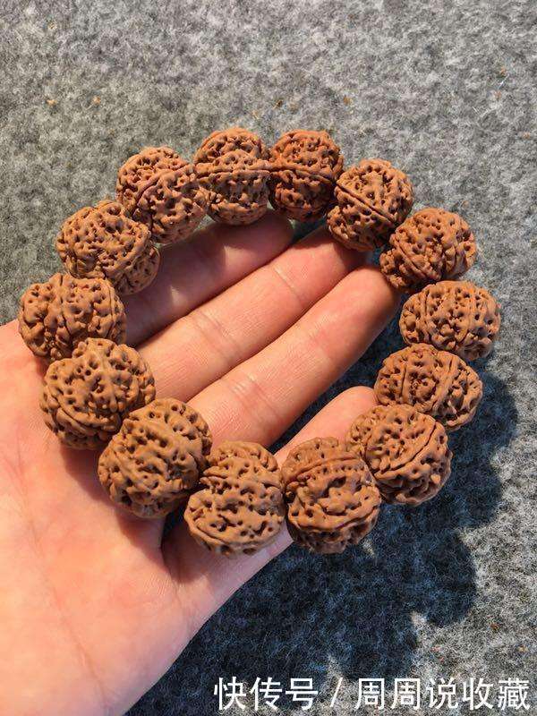 滚筒|金刚菩提滚筒籽能不能玩