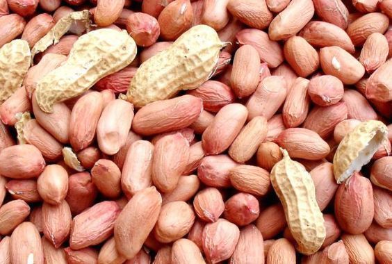 蛋白血症|常吃“花生”好处多,医生提醒:3种人别吃,没什么好处