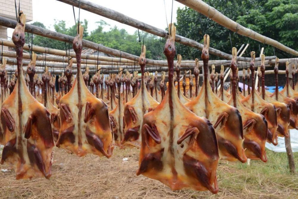  场面|阳江的“名场面”来了！