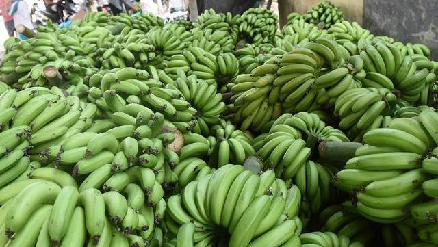 乌梅|肠道“推粪机”公布了,并不是香蕉,便秘时吃点,排出宿便更健康