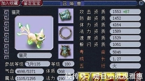 兽态|梦幻西游：攻资1600，成长近1.3，强力攻法双修猫灵，任务小能手