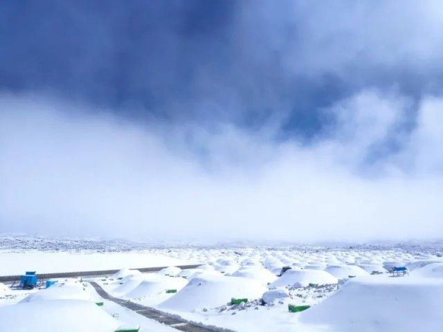 中国科学院 真·高能！“字全认识系列”又增加了