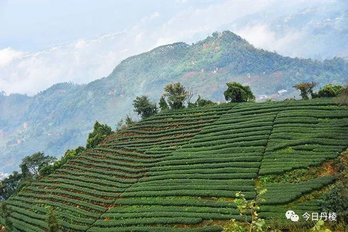 当地村民|顺龙月南山