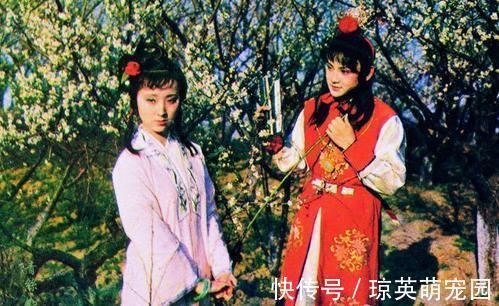 赵姨娘$林黛玉的真实死因：《葬花吟》里的两句诗作出了暗示