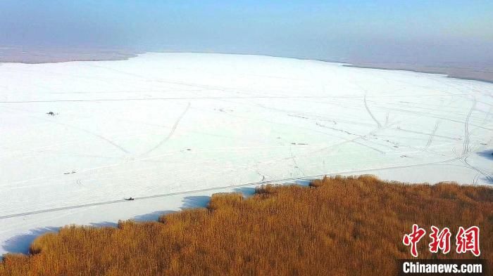 风景线|新疆博斯腾湖出现冰花奇观