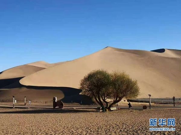 别样|冬日鸣沙山月牙泉风情别样