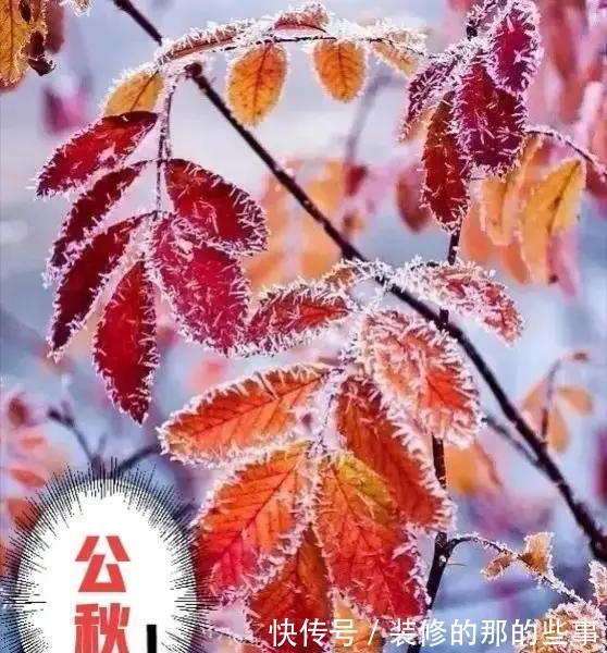 秋老虎|“公秋爽,母秋凶”2021年立秋是公还是母?秋后有秋老虎吗?