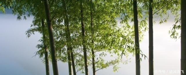 特征!有福之人身上都有的2个特征,你若有1个,那就恭喜了!