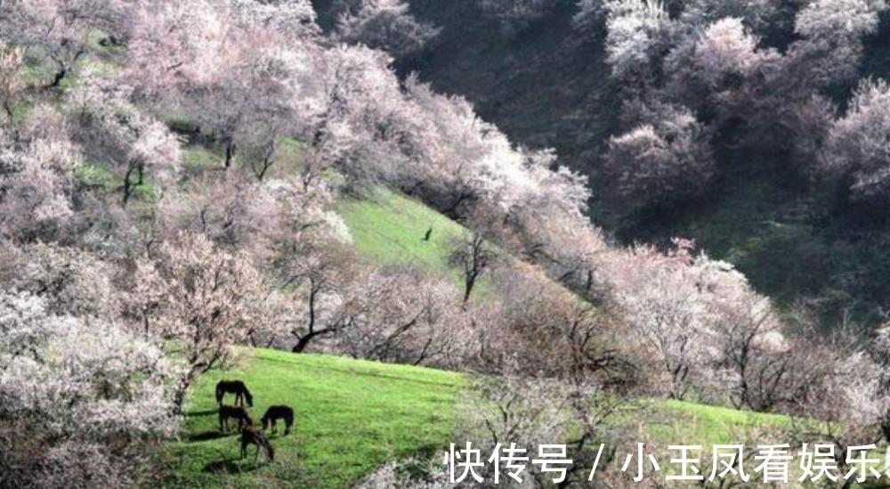 文学&王安石晚年大病一场,还写下两首凄美之作,每一首都感人肺腑!