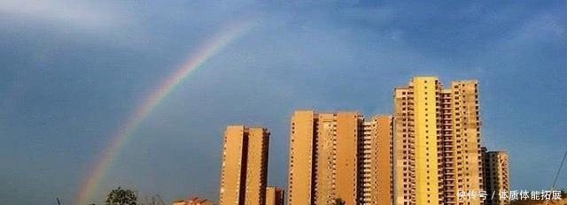 32层楼房的黄金楼层是几层