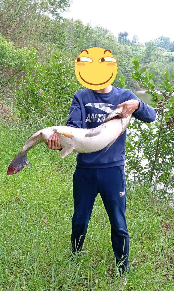 窝子|秋季野钓重要技能:避开小鱼,学会套路再多小鱼拿你没辙