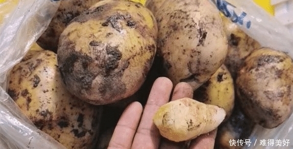 多买来的土豆我家从不放冰箱,教您个土方法,再不怕土豆干瘪发芽