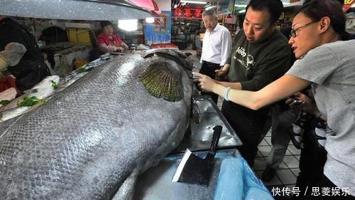 3种鱼是甲醛和重金属的“滋生地”，为了健康，宁愿挨饿也别碰