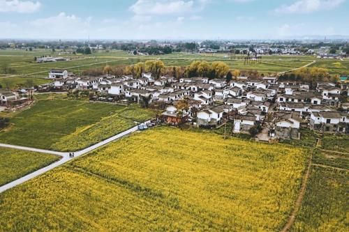 春暖花开日，这些“宝藏”赏花地，值得你打卡