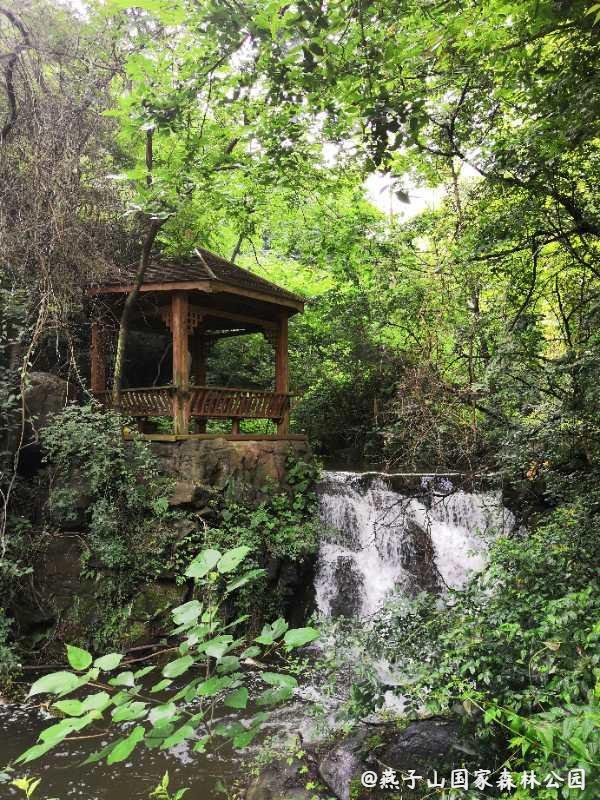 夏末|九月灵宝无限景，夏天的尾巴你有抓到吗？