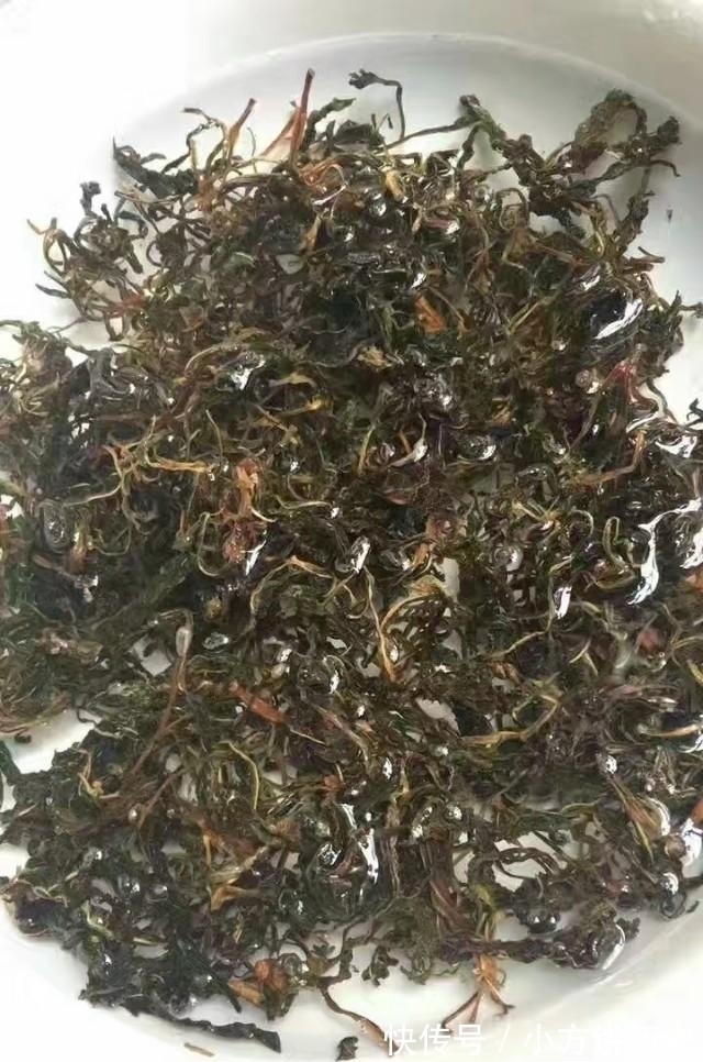 清热解毒|农村有种野菜,闻着臭吃着香,清热解毒还降火