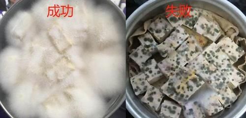 没有稻草能做霉豆腐吗？有什么方法可以把白豆腐焖成霉豆腐？