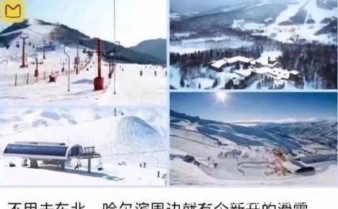 剪不剪|小长假不看点沙雕图怎么过！这世上竟有如此沙雕的手办！