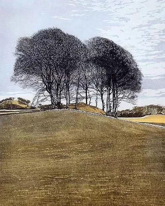 插画师&英国插画师Phil Greenwood的插画,给家里带来一丝文艺田园气息