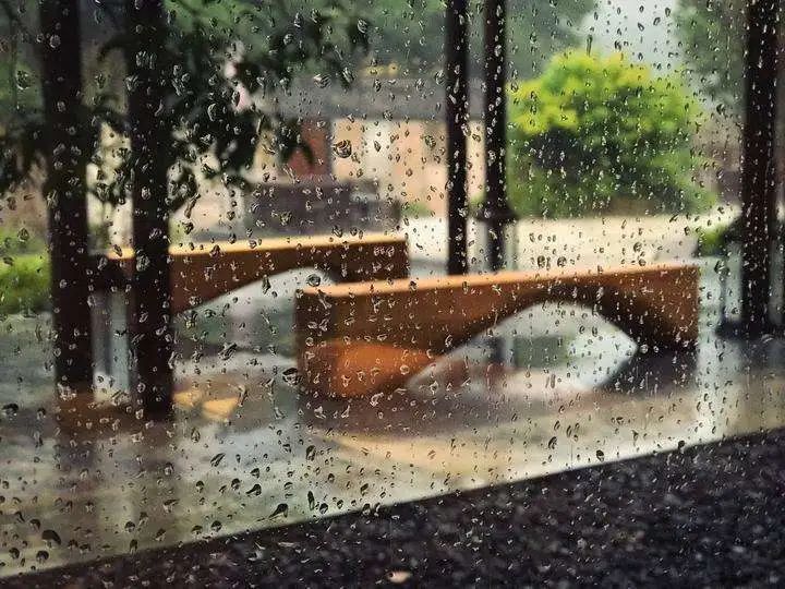 禅茶#品茶，听雨