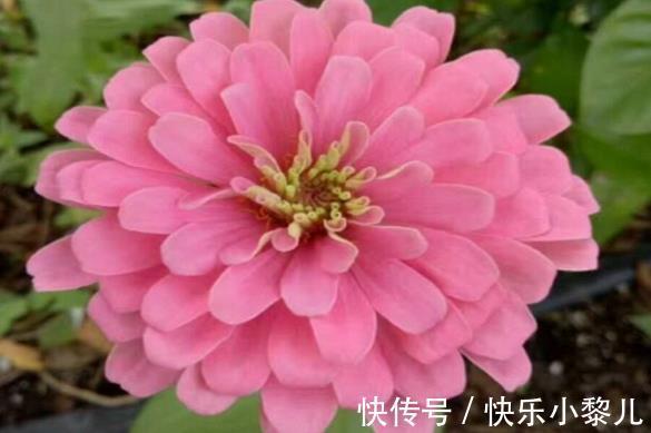 吉星|生肖羊:2月吉星高照,喜事登门,事业和气生财