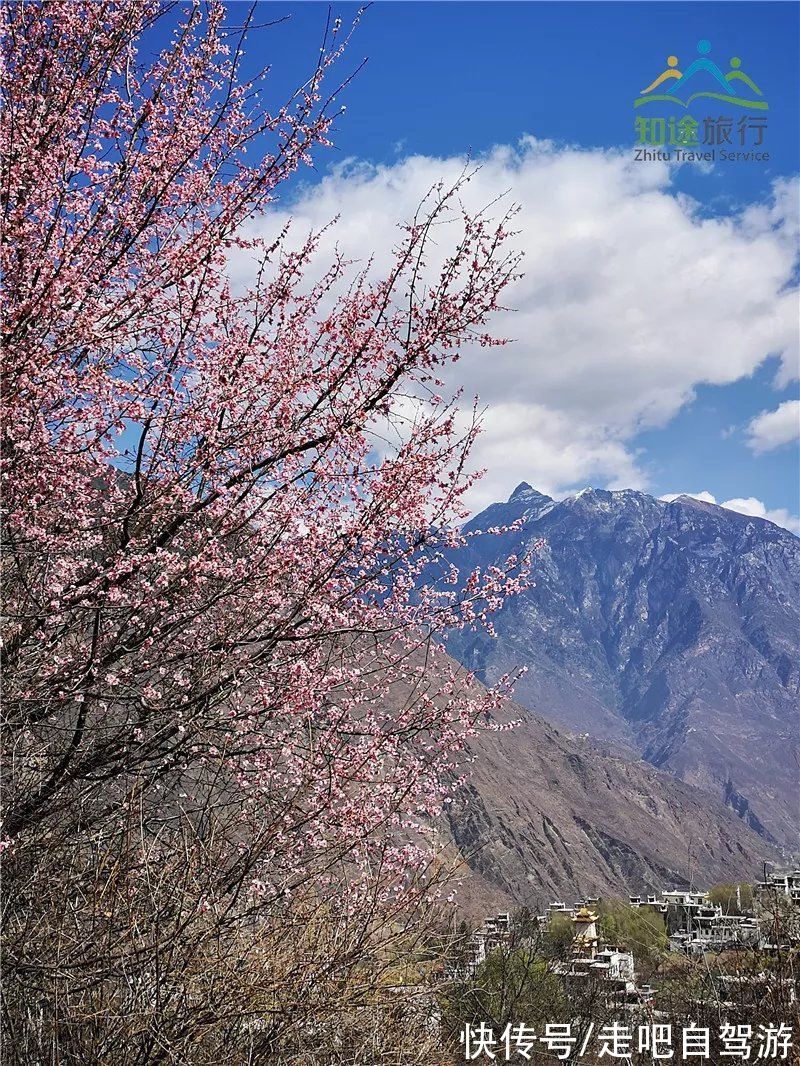 神仙包|春天第一站就去这里！醉春天之川西花海、雪山、冰湖七天之旅