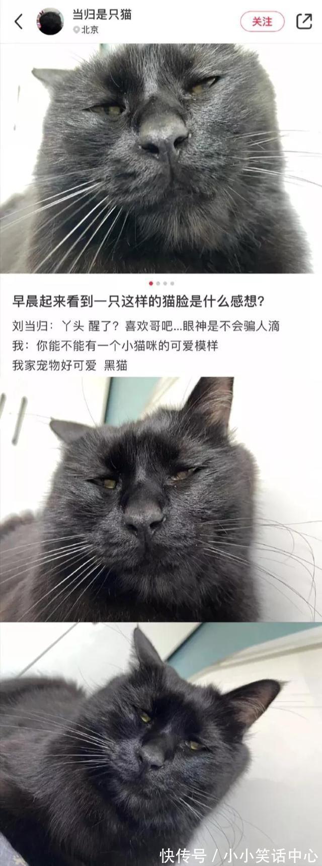 |今日笑话:关于前任,男生和女生不同看法