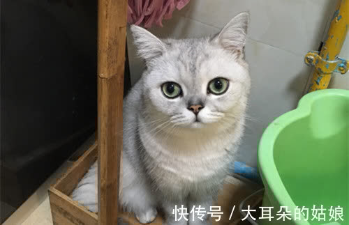 |幽默笑话:部门组织去爬山!中途领导说口渴,心想表现的机会来了