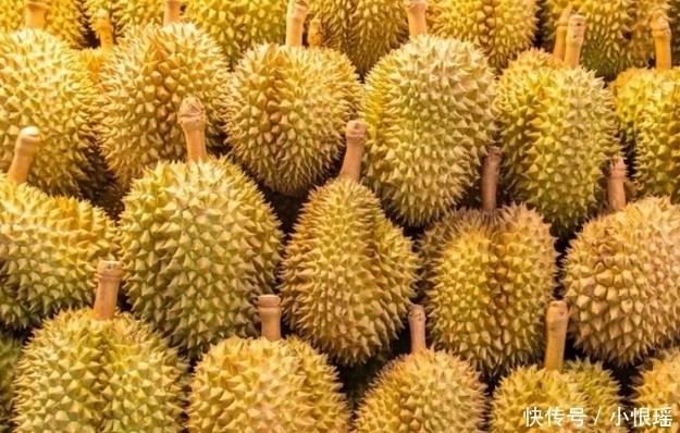产量|一棵榴莲树可以结400个榴莲,明明产量很高,为何还卖这么贵?