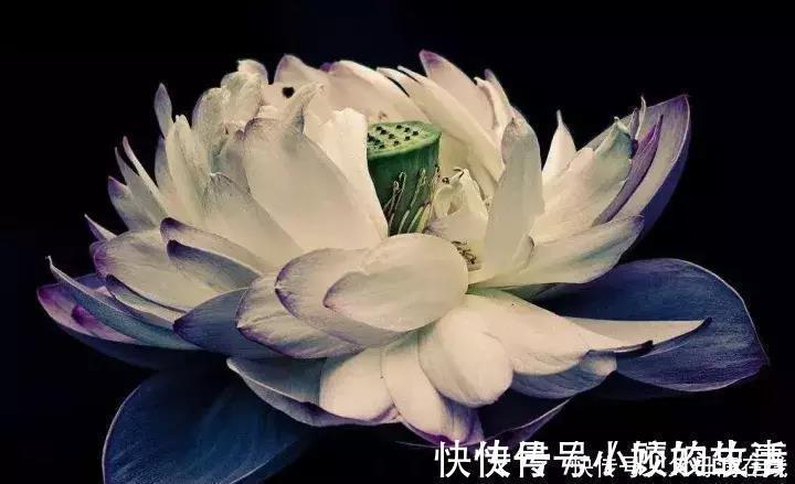 心阳|养心是夏季养生的主旋律,此时如何养心护心?