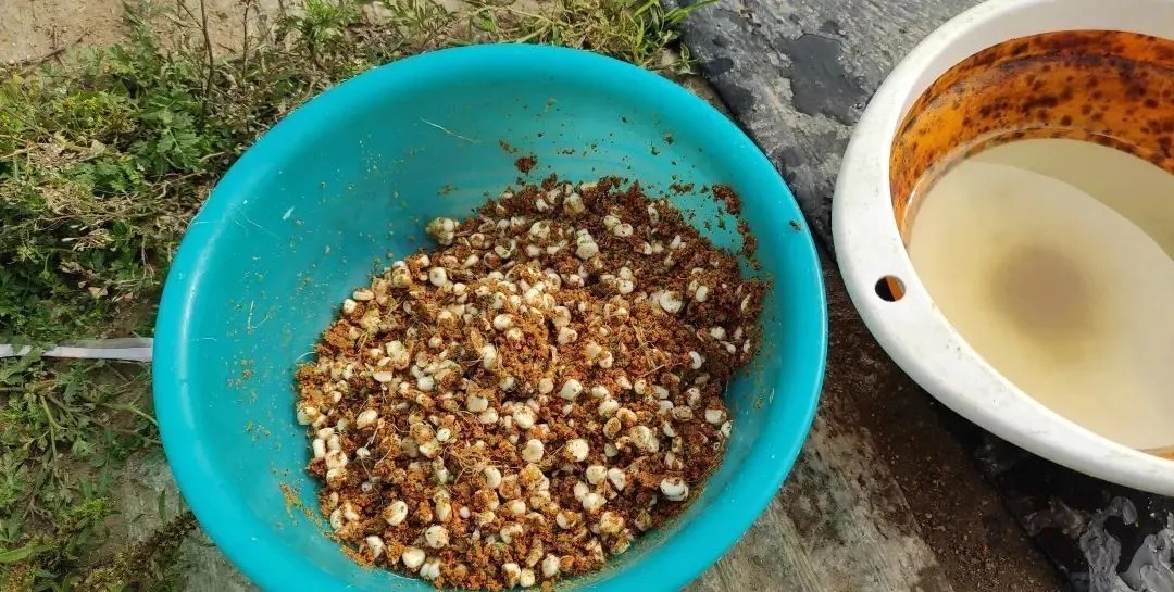 冬季野钓,傻坐一天无鱼咬钩?给你四条建议,其实大板鲫很好钓