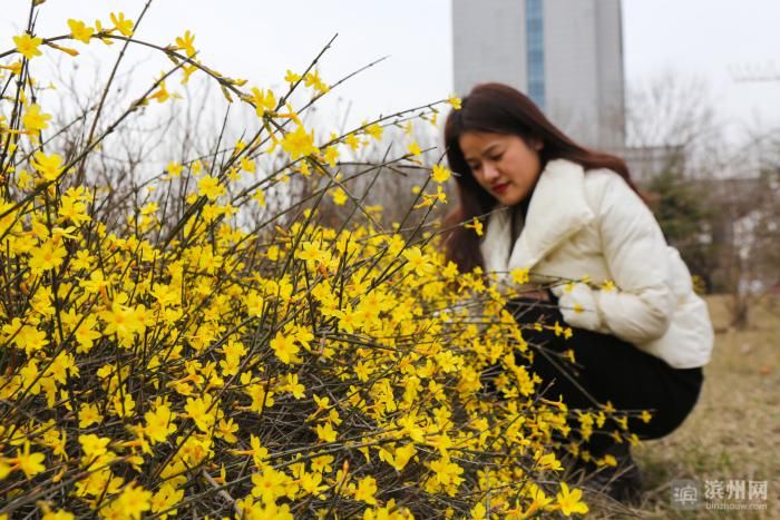 老年|邹平韩店：初春景色美如画