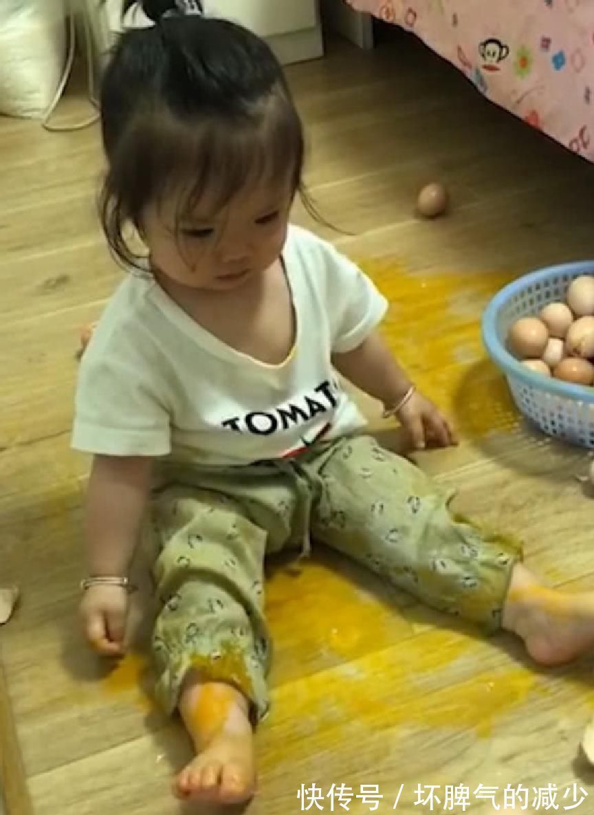 樱桃番茄|最会造的宝宝,妈妈看了哭笑不得,网友:拆家技术,跟二哈有一拼