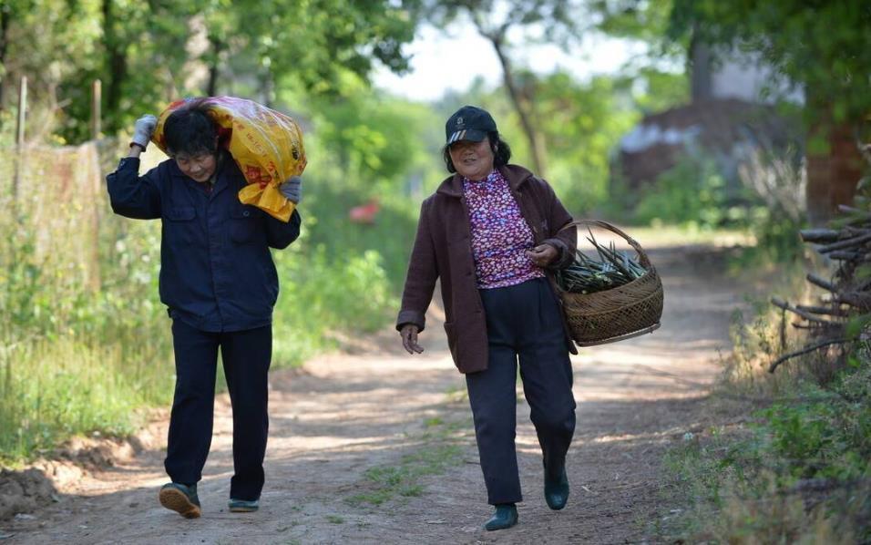 房价上涨|儿子五年攒二十万,父母用来在老家盖房,如今一家人悔不当初