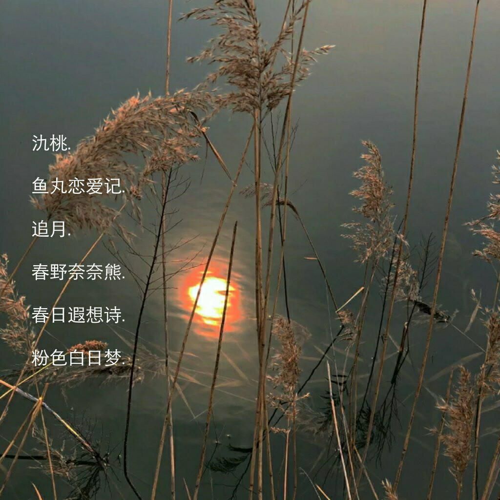 让心动超标的小众网名