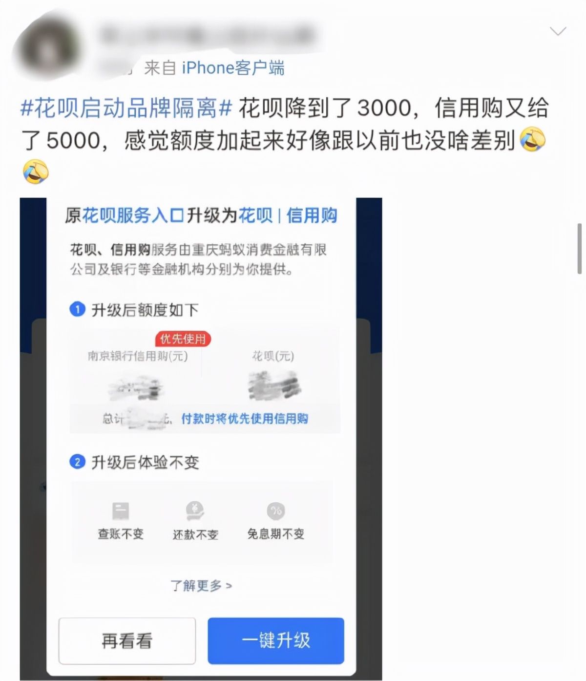 网络|网络小额借贷终于有了章法可言