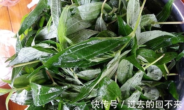 捆仙绳|这种野草被叫做“捆仙绳”,不仅能炖肉煲汤,还能祛湿凉血