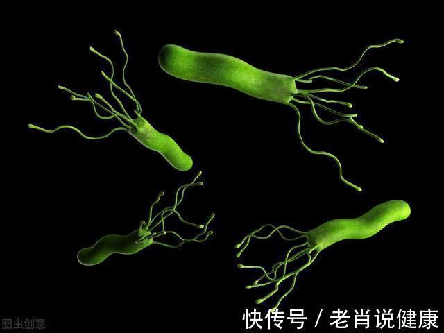 肠癌|心肝宝贝奖门人：癌症都是由小病演变而成？医生：生活中4种常见小毛病，要多留心