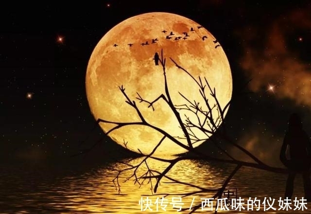 竹榭$七律·秋月思(竹榭)