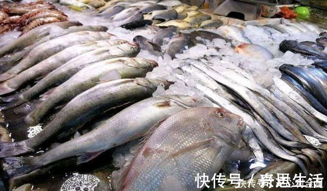 淡水鱼和海水鱼做法真不一样,大多数人做错了,弄懂买鱼心里有底!