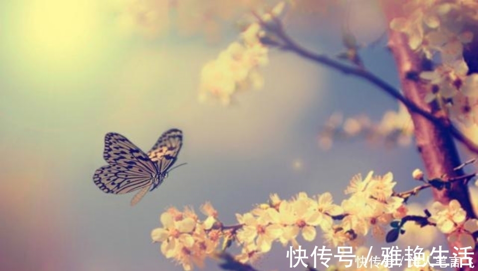 寡妇|一位寡妇给一位鳏夫的情诗,短短几句还大量重复,却流传2000多年