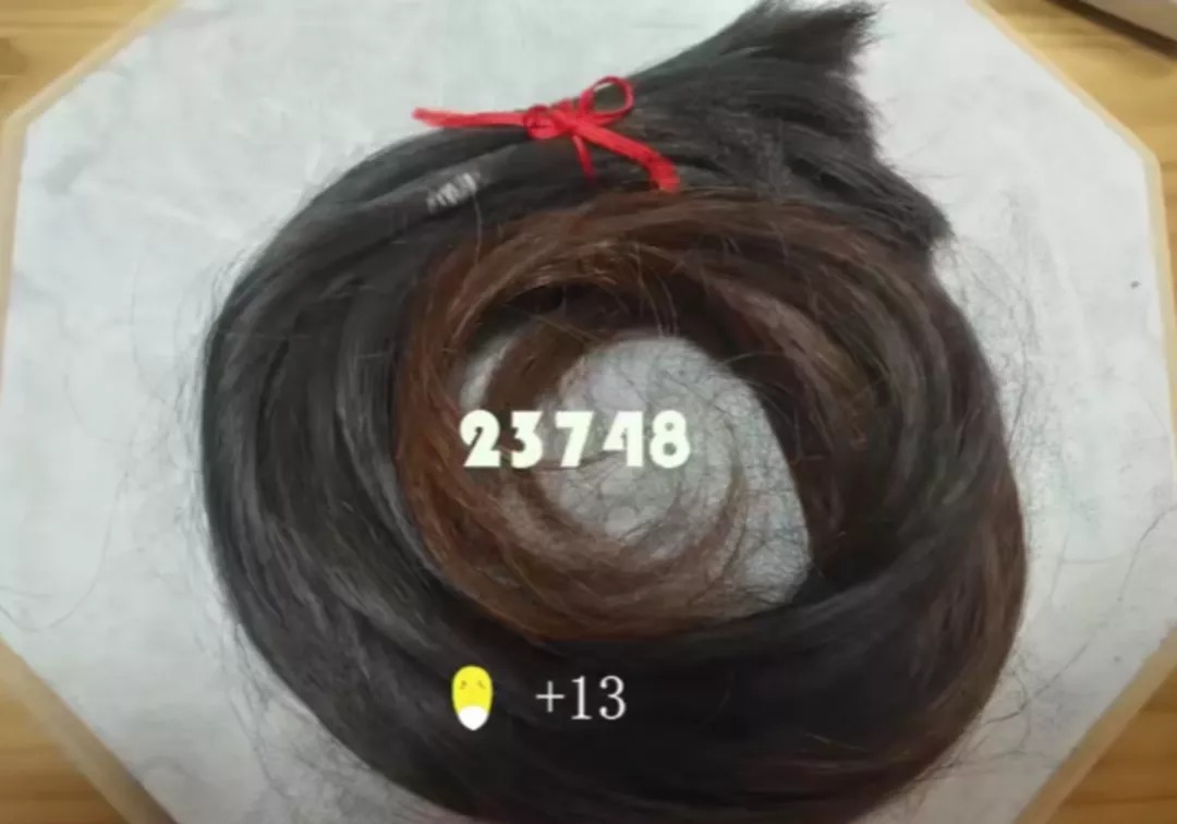 一年攒下23748根掉发!网友:很遗憾这样秃然认识你