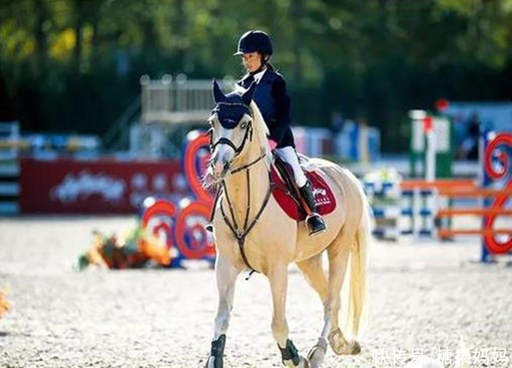 动静|李玫瑾：砸钱报3类兴趣班基本没用，“动静结合”效果好，醒悟吧