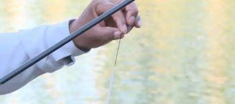 钓鱼大师讲解,浮钓,如何选漂、调漂